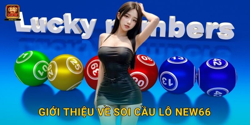 Giới thiệu về soi cầu lô New66