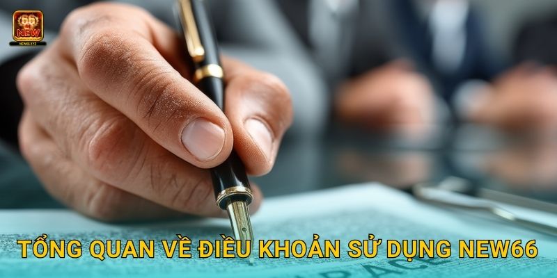 Tổng quan về Điều khoản sử dụng New66
