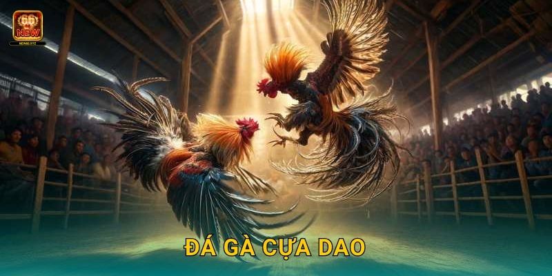 Đá gà cựa dao – Màn đối đầu tốc chiến tại New66