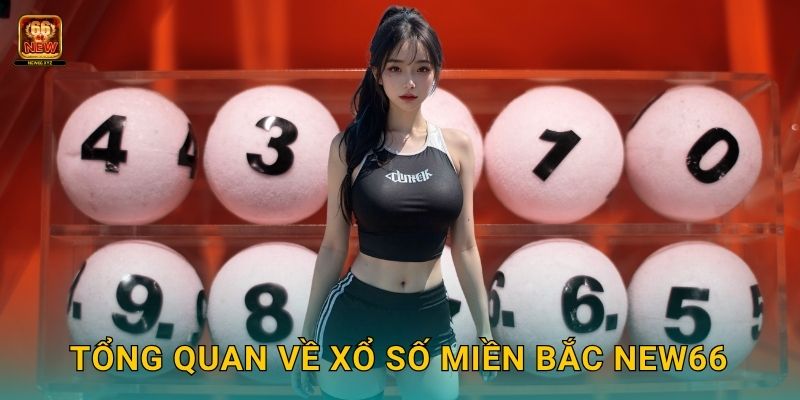 Xổ số miền Bắc – Trải nghiệm truyền thống chuẩn xác tại New66 2 Tổng quan về xổ số miền Bắc New66