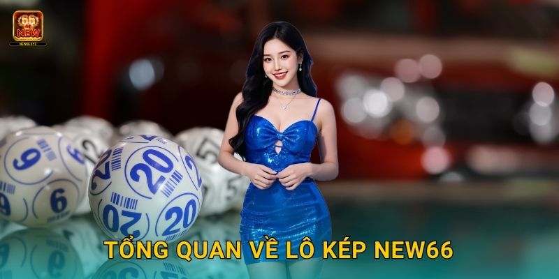 Tổng quan về lô kép New66