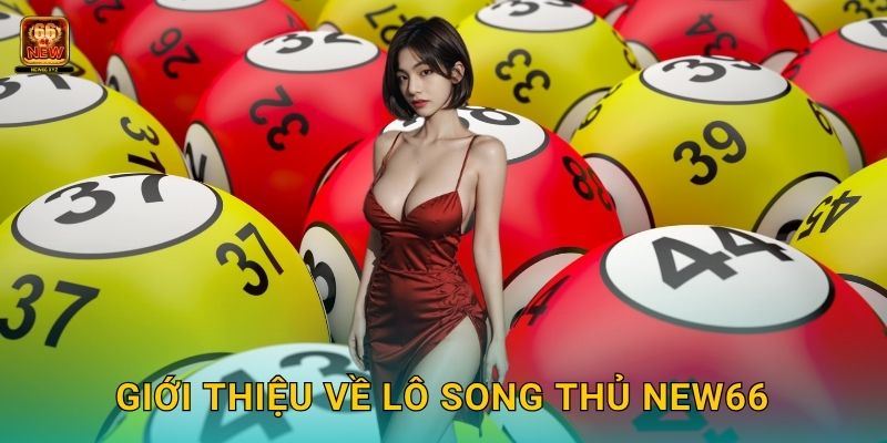 Giới thiệu về lô song thủ New66