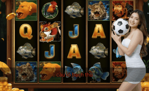 Cầu lô bạch thủ